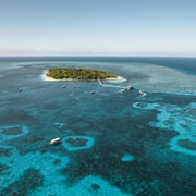 From Cairns: Half-Day Afternoon Cruise to Green Island