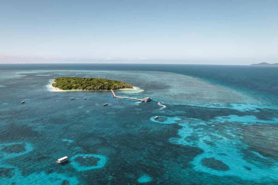 Von Cairns: Halbtägige Nachmittagsfahrt nach Green Island. Foto: GetYourGuide Von Cairns: Halbtägige Nachmittagsfahrt nach Green Island. Foto: GetYourGuide