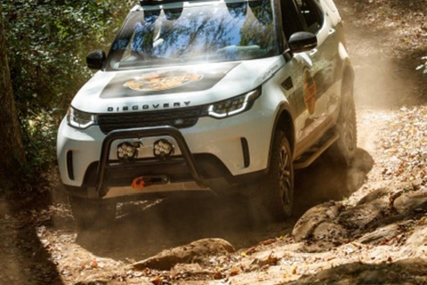 Whistler: Morning with the Bears Land Rover Scenic Tour