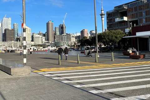 Auckland City To Auckland Airport Premium Transfer