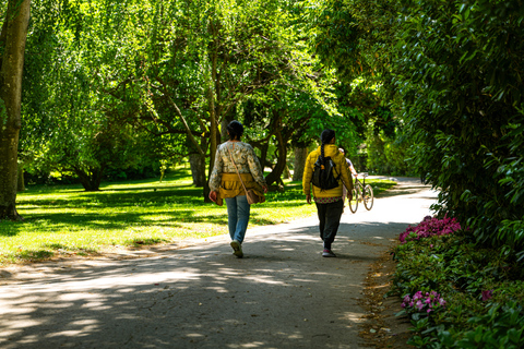 Geführte Tour durch den Königspalast von Caserta: Entdecke den Königspalast und die GärtenEnglischsprachige Tour mit Zug ab Neapel inklusive