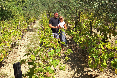 Tour privato delle cascate di Krka da Spalato con degustazione di vini e pranzoOpzione standard