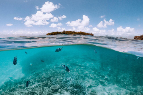 Mauritius: Île des Deux Cocos All-Inclusive Day Trip