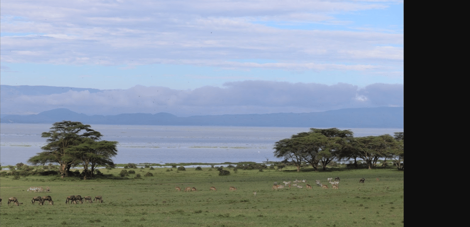 Tagestour Zum Mount Longonot National Park Von Nairobi Aus GetYourGuide