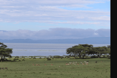 Excursion d'une journée au parc national du Mont Longonot depuis Nairobi.Excursion d'une journée au parc du Mont Longonot depuis Nairobi.