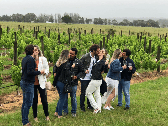 San Francisco: Tour de medio día por el Valle de Napa con catas de vino