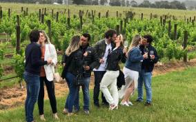 San Francisco: Napa Valley Winery Tour with Tastings