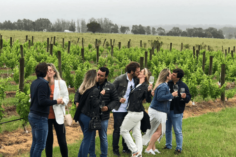 San Francisco: tour delle cantine della Napa Valley con degustazioni