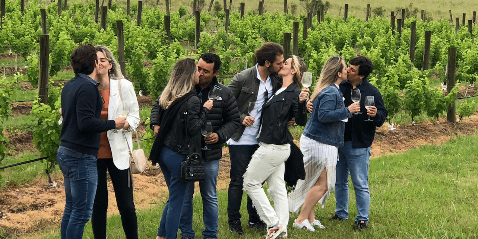 San Francisco: Napa Valley Half-Day Wine Tour with Tastings