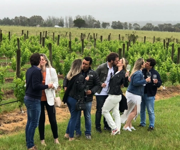 San Francisco: Napa Valley Half-Day Wine Tour with Tastings
