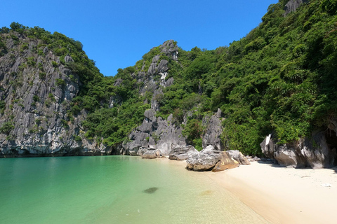 Halong & Lan Ha: 2D1N Celina of the Sea 6-Star Luxury Cruise Without Transfer Service