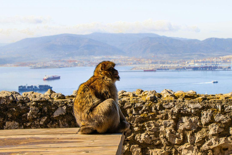 360-Degree Gibraltar Excursion from Málaga