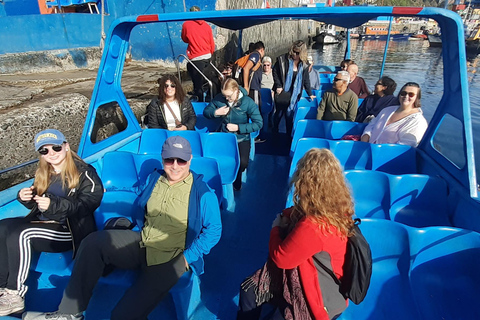 比尼亚德尔马、雷尼亚卡和康康之旅