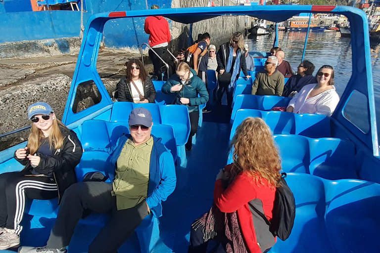 比尼亚德尔马、雷尼亚卡和康康之旅