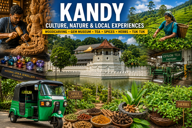 Kandy: Gem, Tea, Spices, Wood Carving Workshop Tour by Tuk