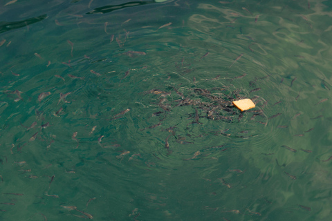 Langkawi Jet Ski Mangrove Tour Tanjung Rhu and Kilim