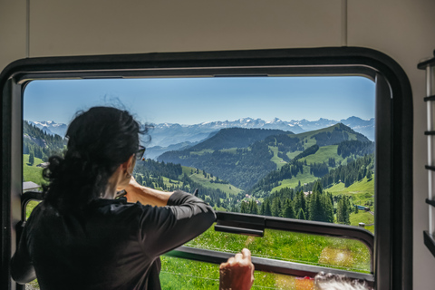 Vitznau: Train Tickets and Rigi Mineral Baths Day Ticket