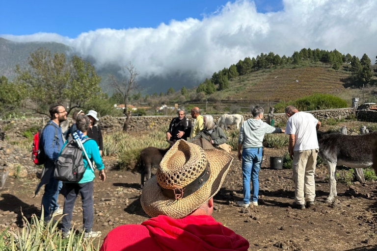 La Palma : Besichtigung eines ökologischen Bauernhofs mit Tieren und Verkostung