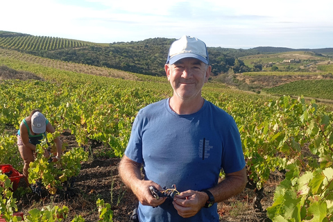 Beziers: Eco Wine Tasting at Sarabande Wines Off-Grid Winery