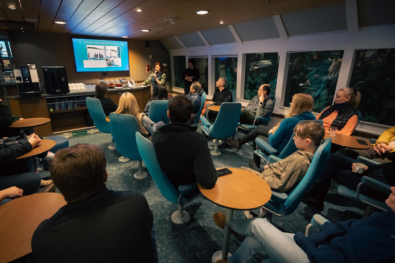 Tromsø: 24 ore di crociera per avvistare le balene e l&#039;aurora boreale