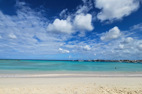 Barbados: Tour guiado panorámico privado