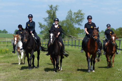 Hirschburg: Horseback riding for beginners