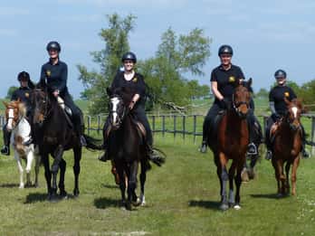 Hirschburg: Horseback riding for beginners
