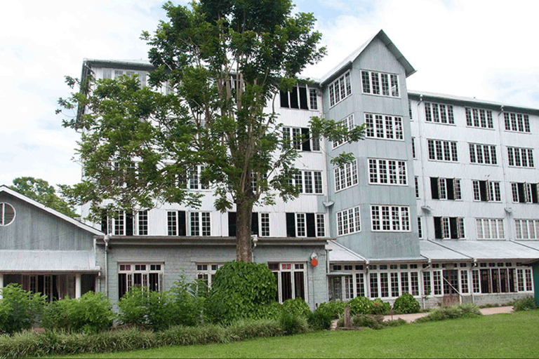 From Colombo:Elephant Orphanage,Ambuluwawa & Tea Museum Tour