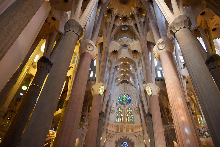 Barcelona: Sagrada Familia Skip-the-Line Guided Tour