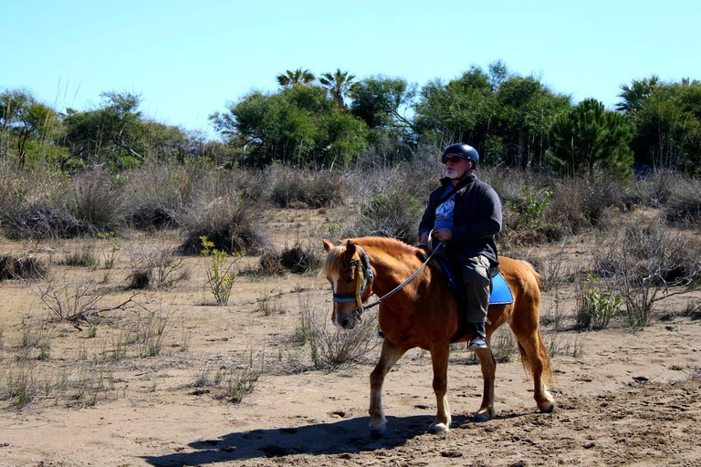 Antalya Forest and Beach Horseback Riding Tour Organization Sunset Tour Excluding Transport