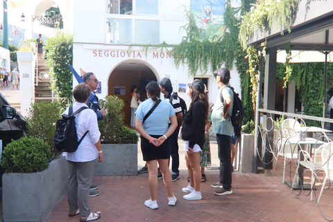 Sorrento: Tour guidato di Capri, Anacapri e Grotta Azzurra