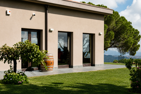 Etna + Wine Tasting Experience in a Winery and Lunch included Etna + Wine Tasting Experience in a Winery with Lunch included