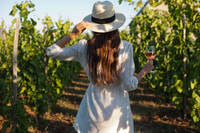 Freiburg, Veni, Vidi, Vino - Randonnée en vin et dégustation - Housity