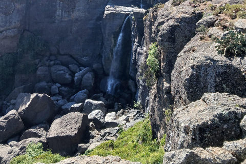 Entdecke Bule nile und die Portugal-Brücke.