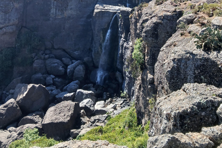 Entdecke Bule nile und die Portugal-Brücke.