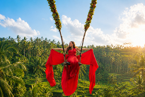 Ubud : Waterfalls, Tegalalang Rice Teracces, Bali Swing Tur Private Tour With All Inclusive Entry Ticket