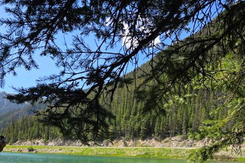 Soak & Explore: Radium Hot Springs and Kootenay Park Tour