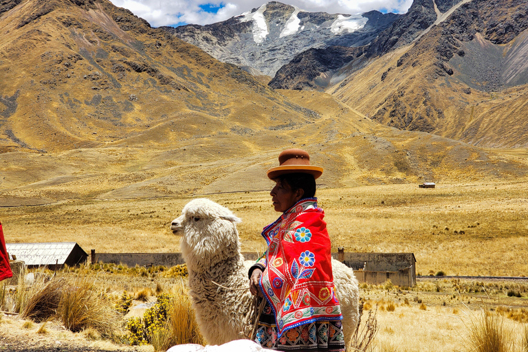 Sightseeing Bus from Cusco to Puno with Guided Stops & Lunch Basic