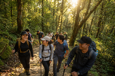 Kathmandu / Shivapuri Hiking with Guide Kathmandu: Shivapuri Forest Hike to Baghdwar Spring