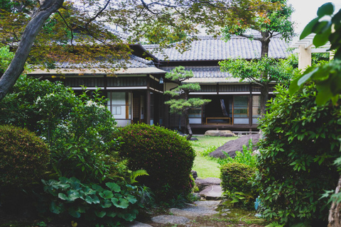 Visite à la journée : Château, jardins et domaine historique de Nagoya