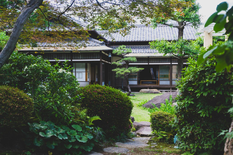 Dagtour: Kasteel, tuinen en historisch landgoed van Nagoya