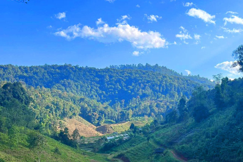 Chiang Mai: Doi Inthanon Park Vandring &amp; Elefanternas fristadChiang Mai: Doi Inthanon nationalpark &amp; elefanternas fristad