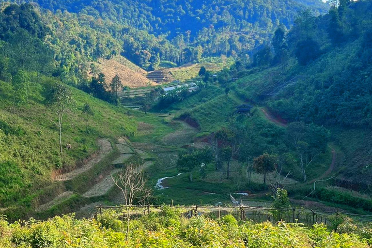 Chiang Mai : Parc national de Doi Inthanon et sanctuaire des éléphants