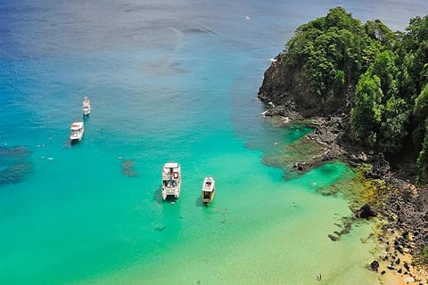 Explore Fernando de Noronha: 7-Hour Ilhatour