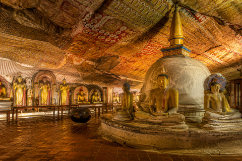 Sigiriya: Dambulla, Spice Garden & Sera Waterfall Tour