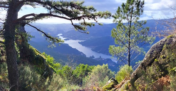 Vanuit Porto: dagtrip naar het nationaal park Peneda-Gerês