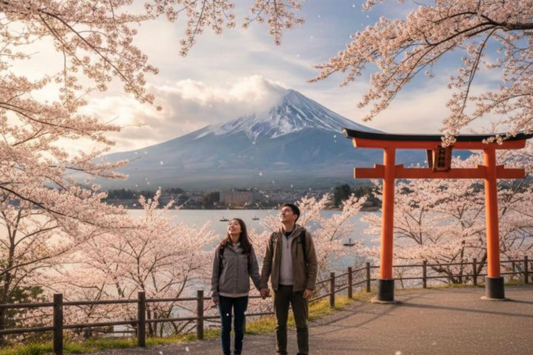 From Tokyo: Mount Fuji & Hakone Customizable Private Tour Itinerary A: Mount Fuji Full Day Customizable Private Tour