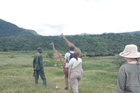 Arusha Park Memorable Safari Tour