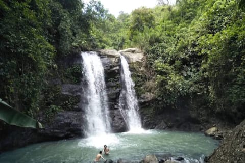West Bali:Bunut Bolong - Puncak Tirta - Jerukmanis Waterfall
