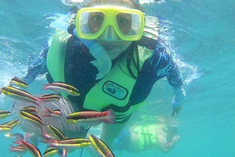 Ixtapa: Passeio de mergulho com snorkel na Ilha de Ixtapa